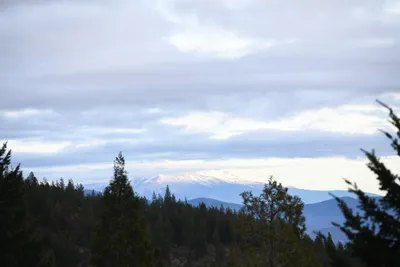 DSC_0091 (Large).JPG